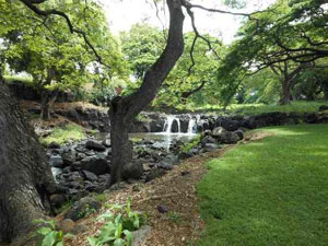 Foster Botanical Garden