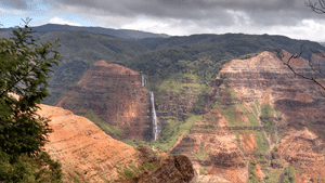 Costco Travel Agency to Hawaii