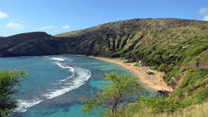 paradise Hawaii