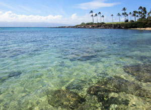 Travel Tips Hawaii